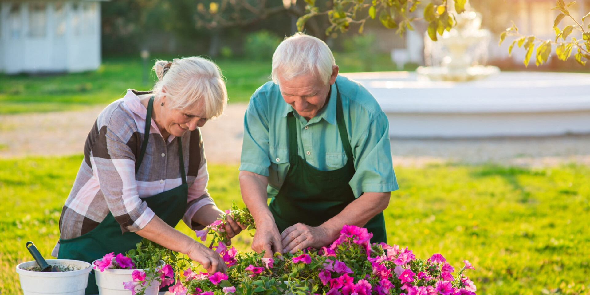Couple transplanting flowers. Old woman and man outdoors.